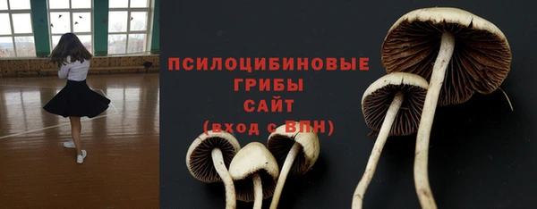 круглые Няндома