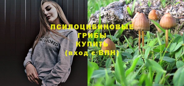 круглые Няндома