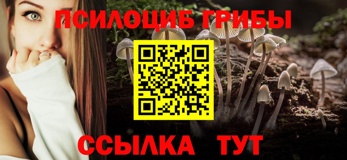 Галлюциногенные грибы GOLDEN TEACHER Миллерово