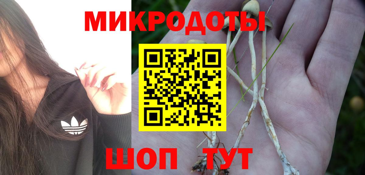 закладка  Галлюциногенные грибы Magic Shrooms  Миллерово  Вход с VPN  Галлюциногенные грибы ЛСД 